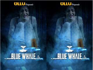 Today Exclusive-  BlueWhale Episode 1