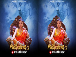 First On net -Pehredaar S3 Episode 1